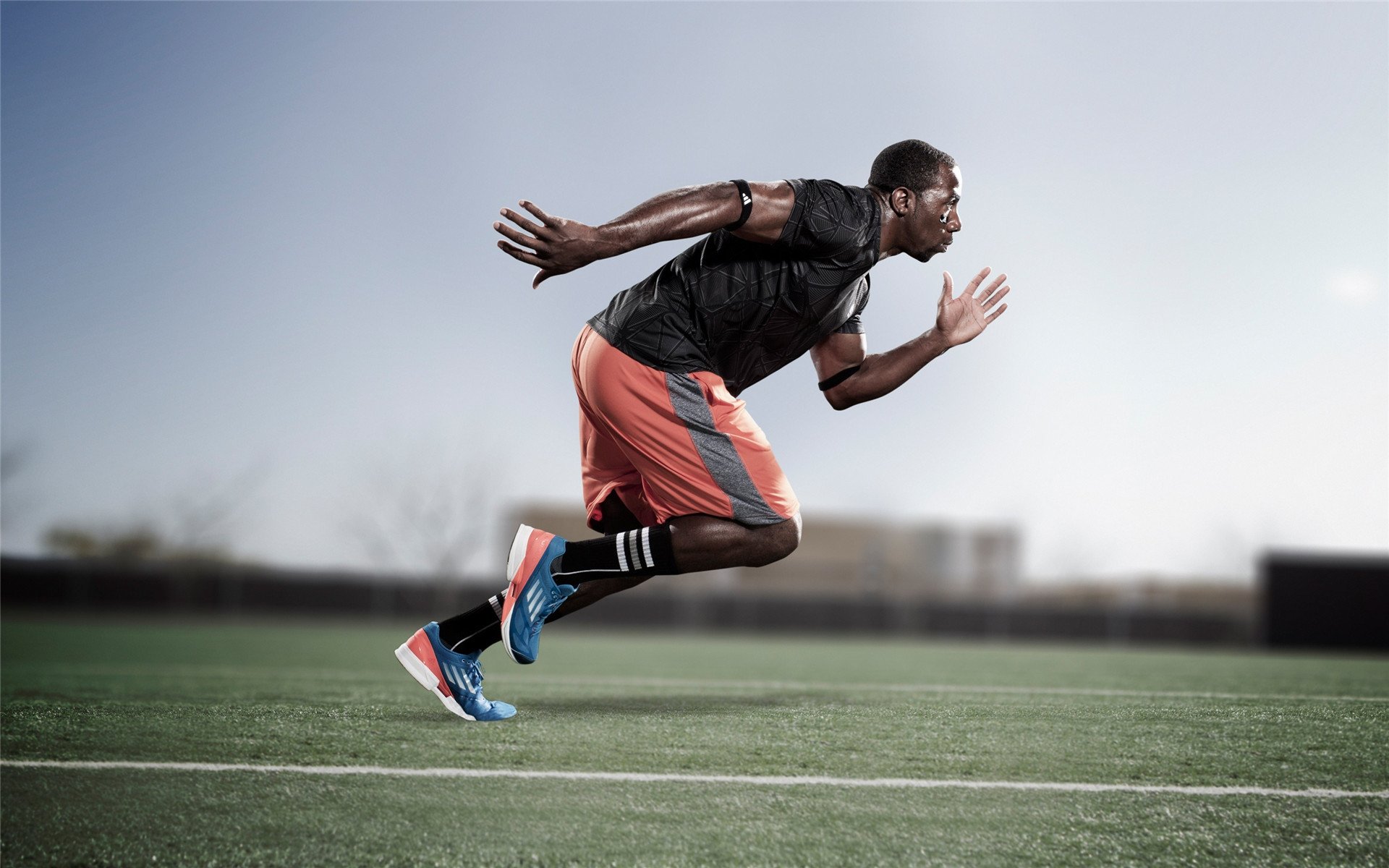 开云体育官网登入-东京残奥会回顾展开启，展示中国残疾人体育成就，东京残疾人奥运会有38个大项目